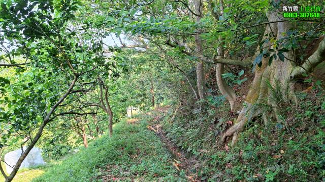 峨眉農地-14