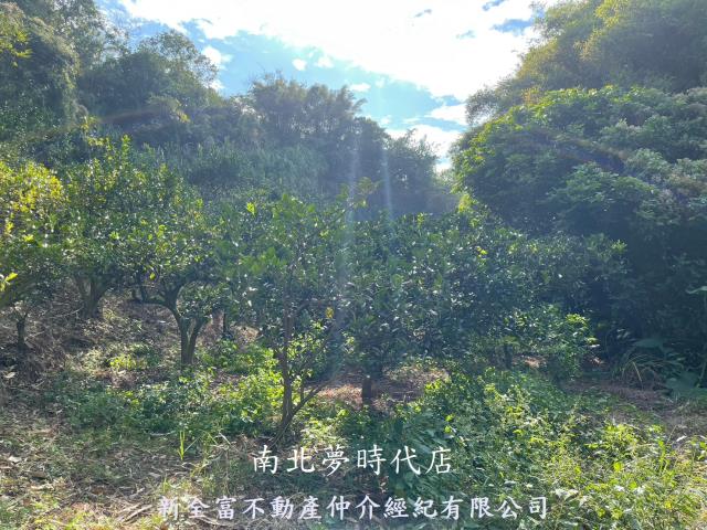 東山農地-1