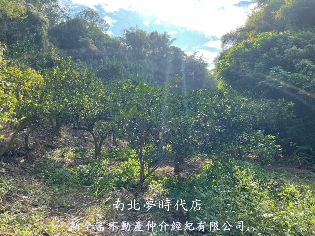 東山農地-4