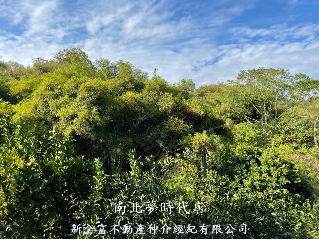 東山農地-8