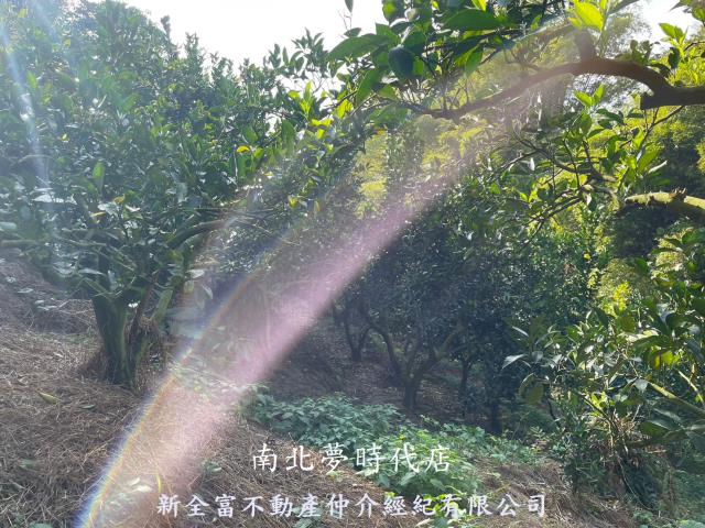 東山農地-9