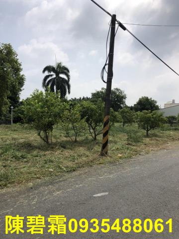 台南農地-10