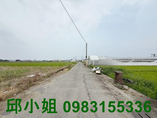 水上農地-2