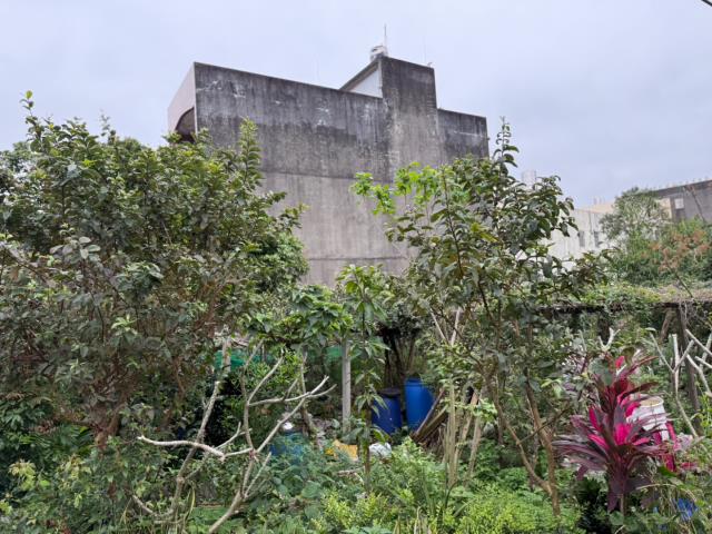 中壢農地-4