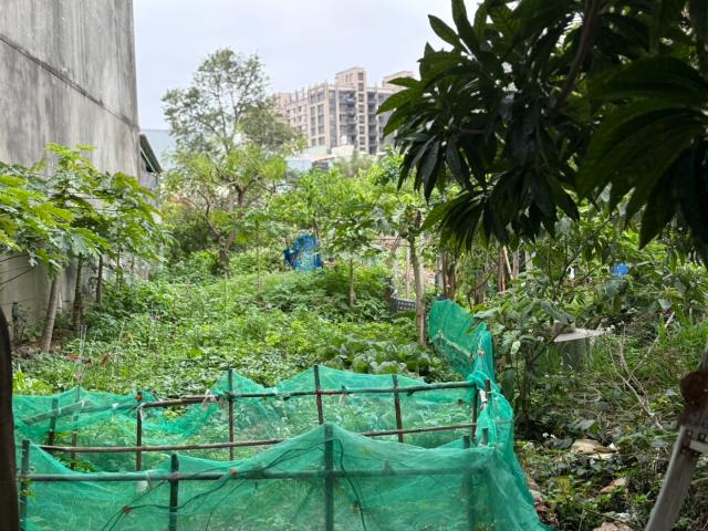 中壢農地-5