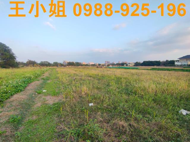桃園農地-3