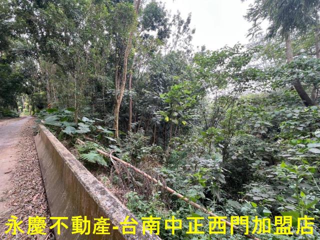 白河農地-10