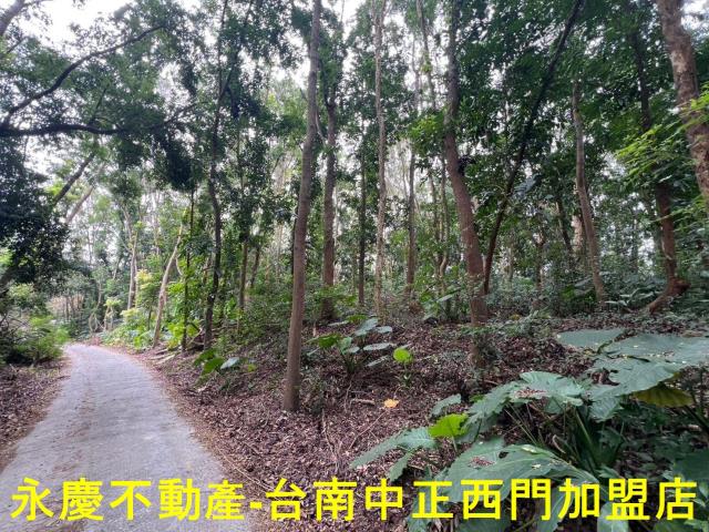 白河農地-12