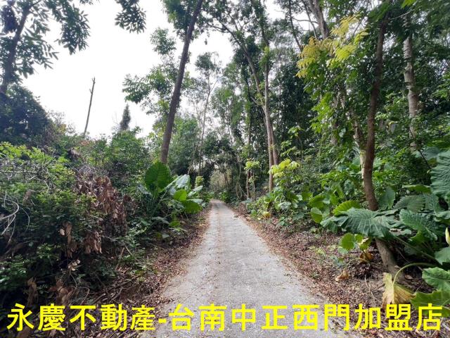 白河農地-13
