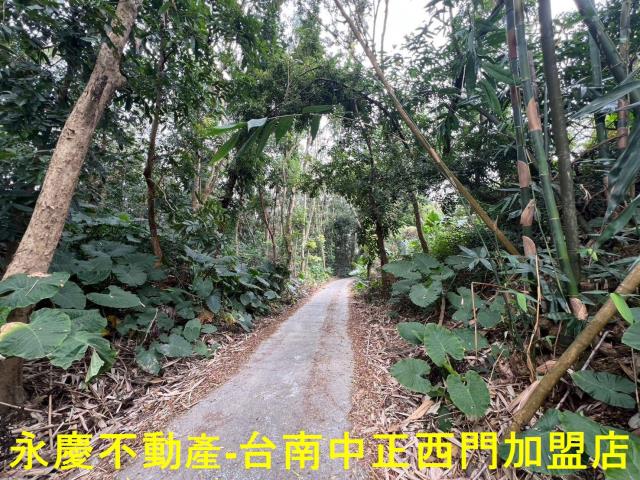 白河農地-14