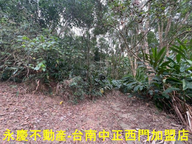 白河農地-3