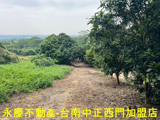 白河農地-4