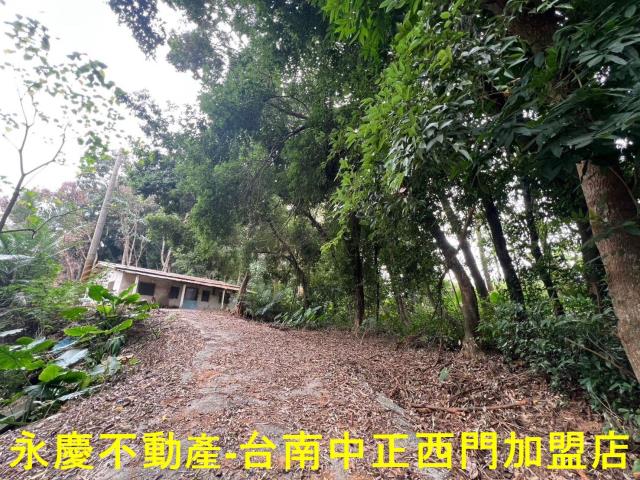 白河農地-8