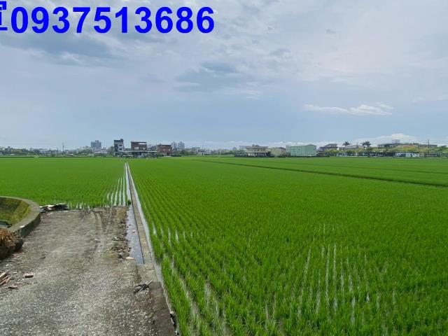 宜蘭市農地-7