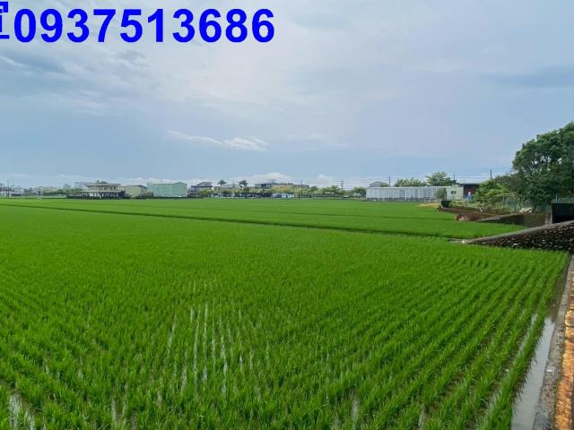 宜蘭市農地-9