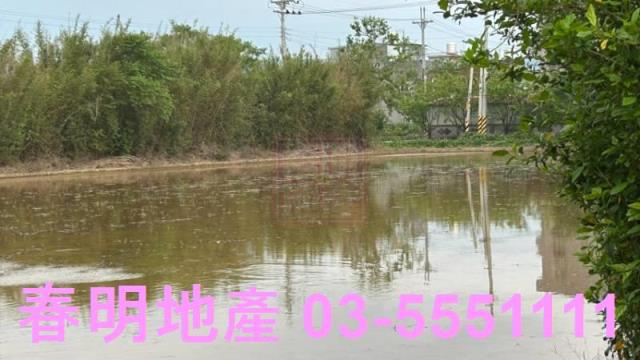 楊梅農地-5