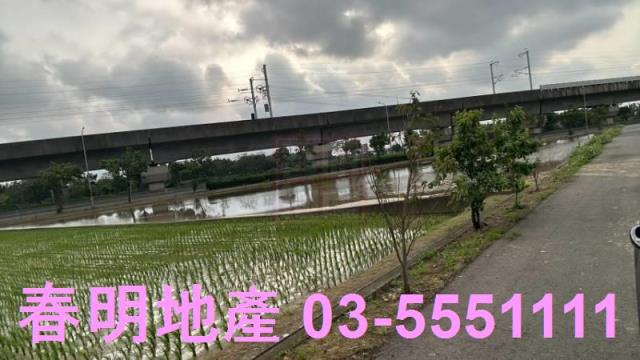 楊梅農地-6