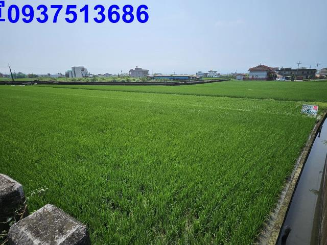 宜蘭農地-5
