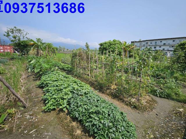 宜蘭農地-3