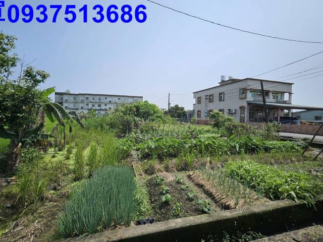 宜蘭農地-4