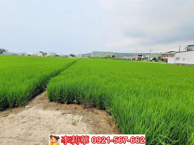林園農地-8