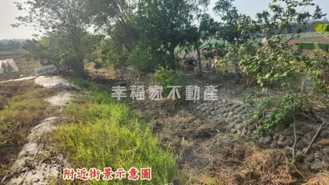 善化農地-10