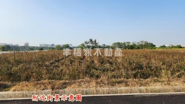 善化農地-5
