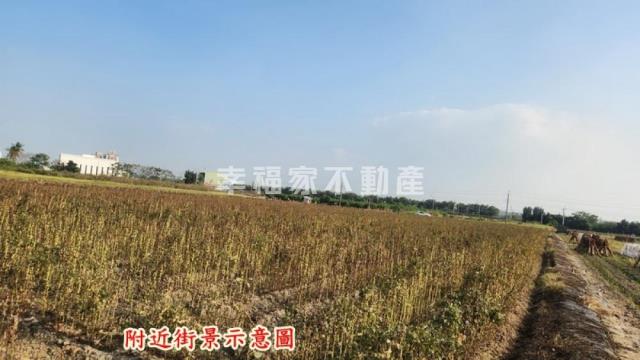 善化農地-6