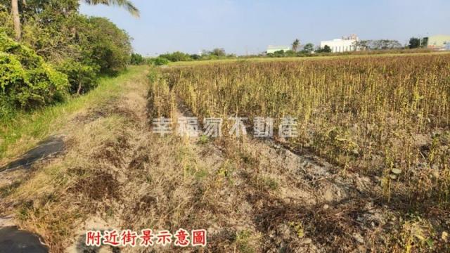 善化農地-7