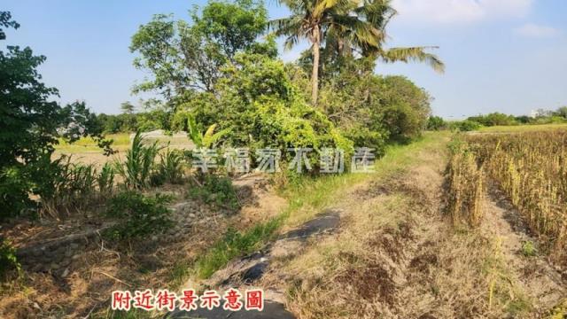 善化農地-9