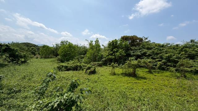 芎林建地-9