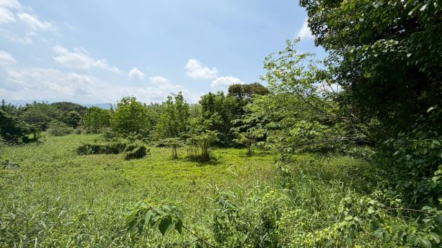 芎林建地-6
