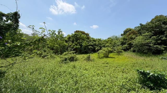 芎林建地-7