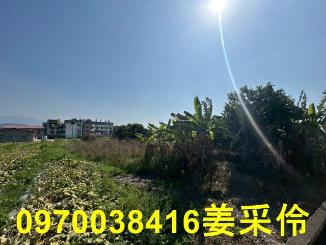 中埔農地-12