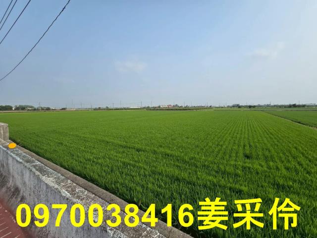 嘉義農地-12