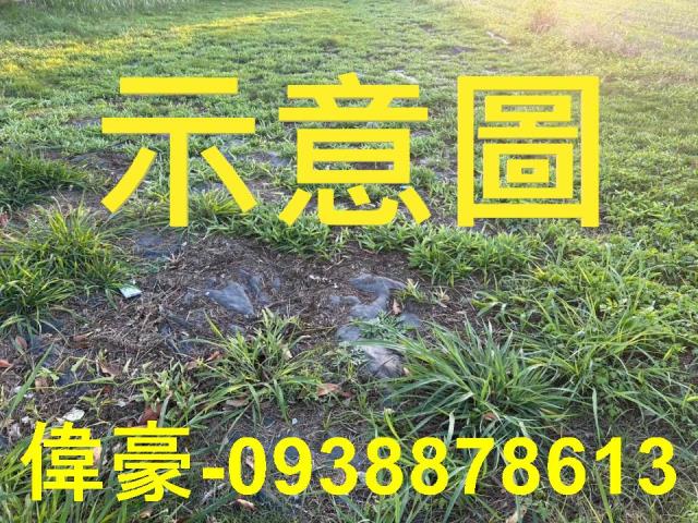 高雄農地-1