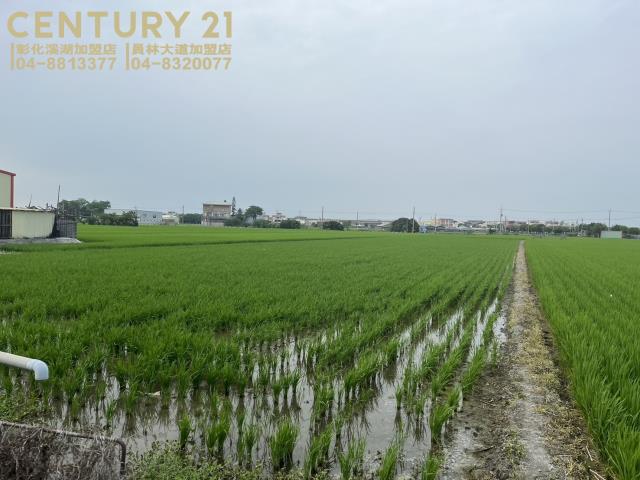 彰化農地-6