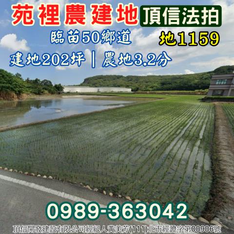 苑裡農地拍賣-1