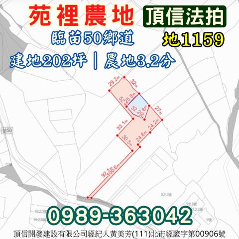 苑裡農地拍賣-4