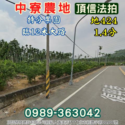 南投中寮農地法拍-2