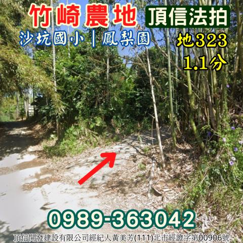 嘉義竹崎法拍農地-1