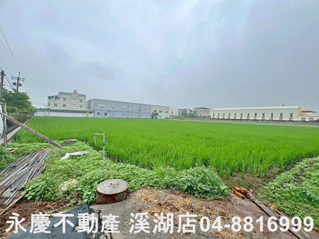 秀水農地-2