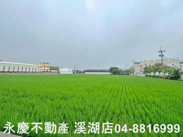 秀水農地-3