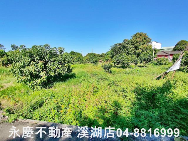 社頭農地-2