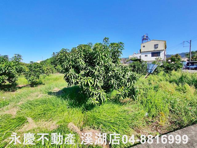 社頭農地-6