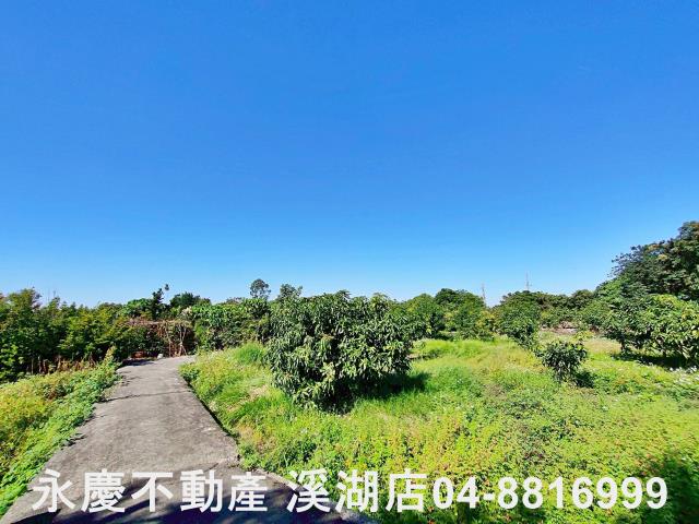 社頭農地-7