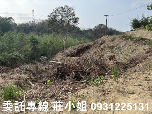 台南新化農地-10