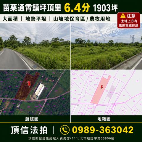 苗栗通霄拍賣農地-1