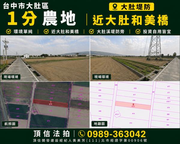 大肚法拍農地-1