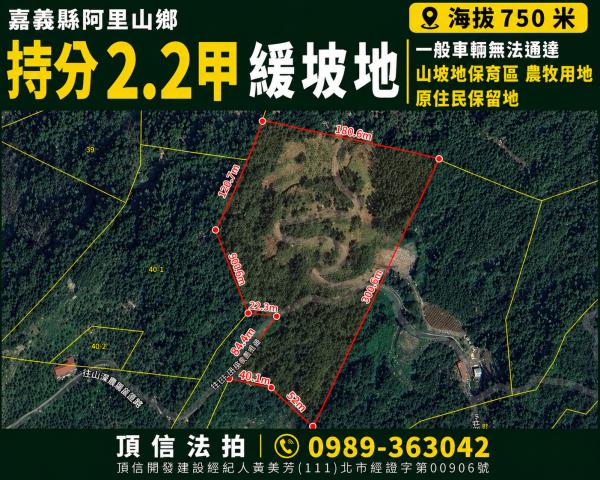 阿里山農地拍賣-1